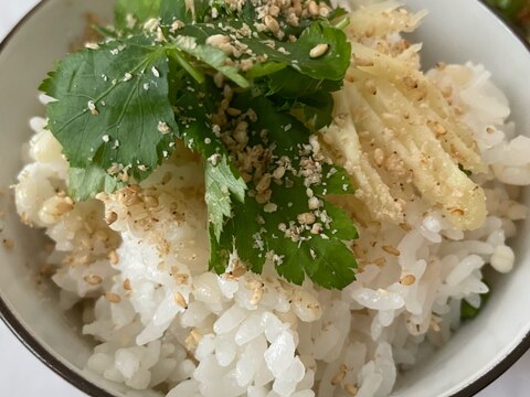 新生姜と白ごま香るもち麦入り塩麹炊き込みご飯♩